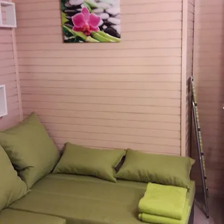 Lilija 4024