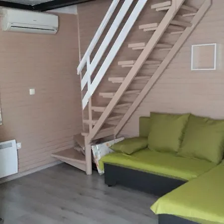 Lilija 4024