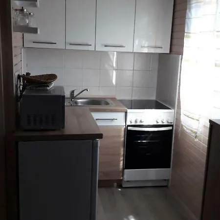 Lilija 4024